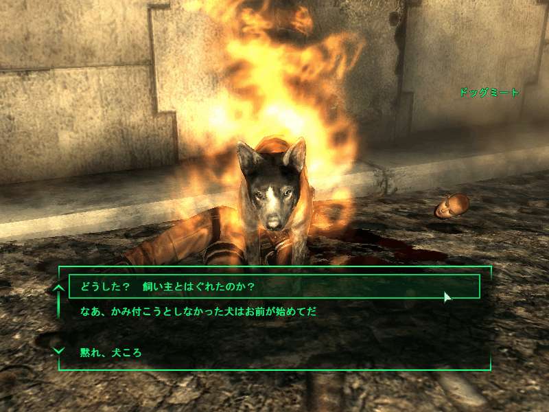 犬肉という命名の悪意 Fallout3 世紀末闊歩日記